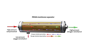 ����Ĥ���x������ʾ��D